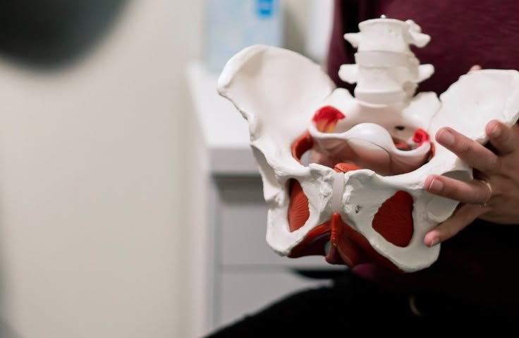 Pelvic Floor Rehabilitation